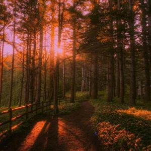 دانلود آهنگ ندونسته دلمو به غریبه سپردم